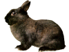 Captcha image 6107