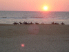Captcha image 2789